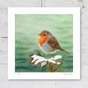 Signed limited edition of robin print