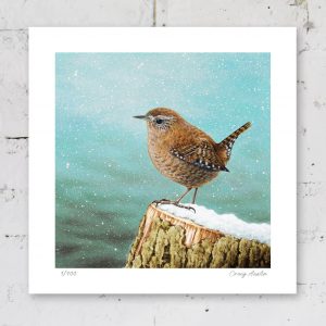 Unframed print of a wren