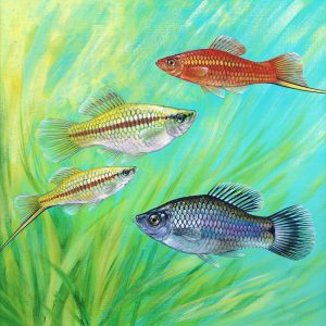 Swordtail fish painting
