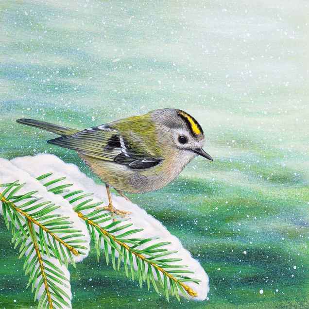 Fine art print of a goldcrest.