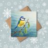 Blue tit christmas card with snowflake background