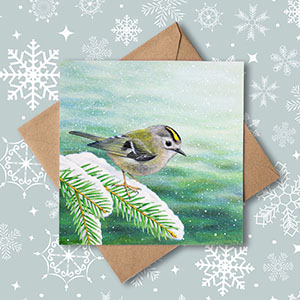 Goldcrest christmas card with snowflake background