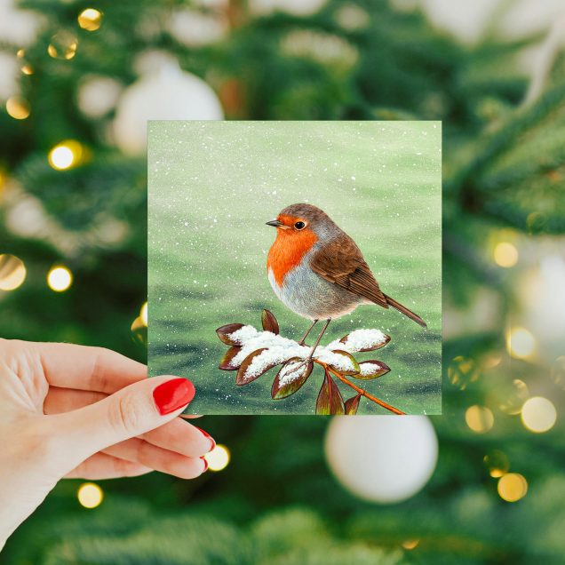 Hand holding a robin christmas card