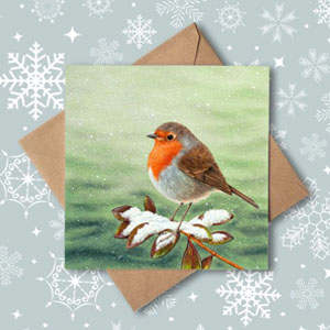 Robin christmas card with snowflake background