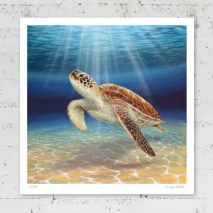 Limited edition print of a turtle