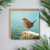 Wren christmas card with kraft envelope