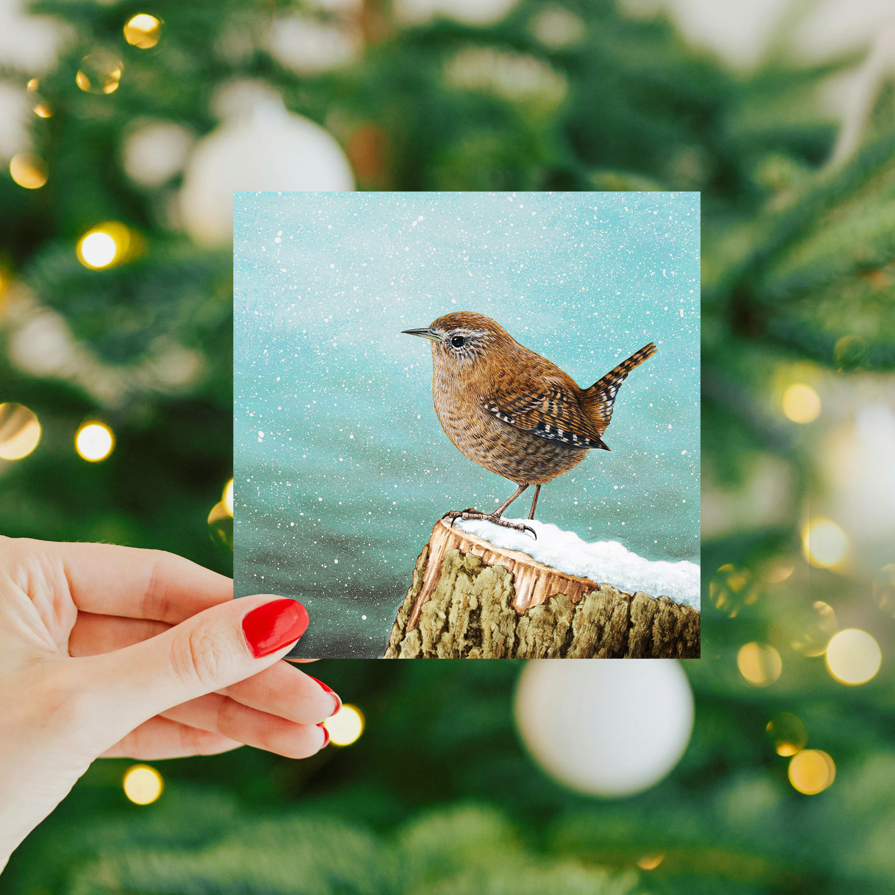 Hand holding a wren christmas card