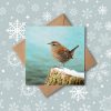 Wren christmas card with snowflake background
