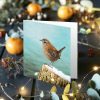 Wren christmas card with decorations