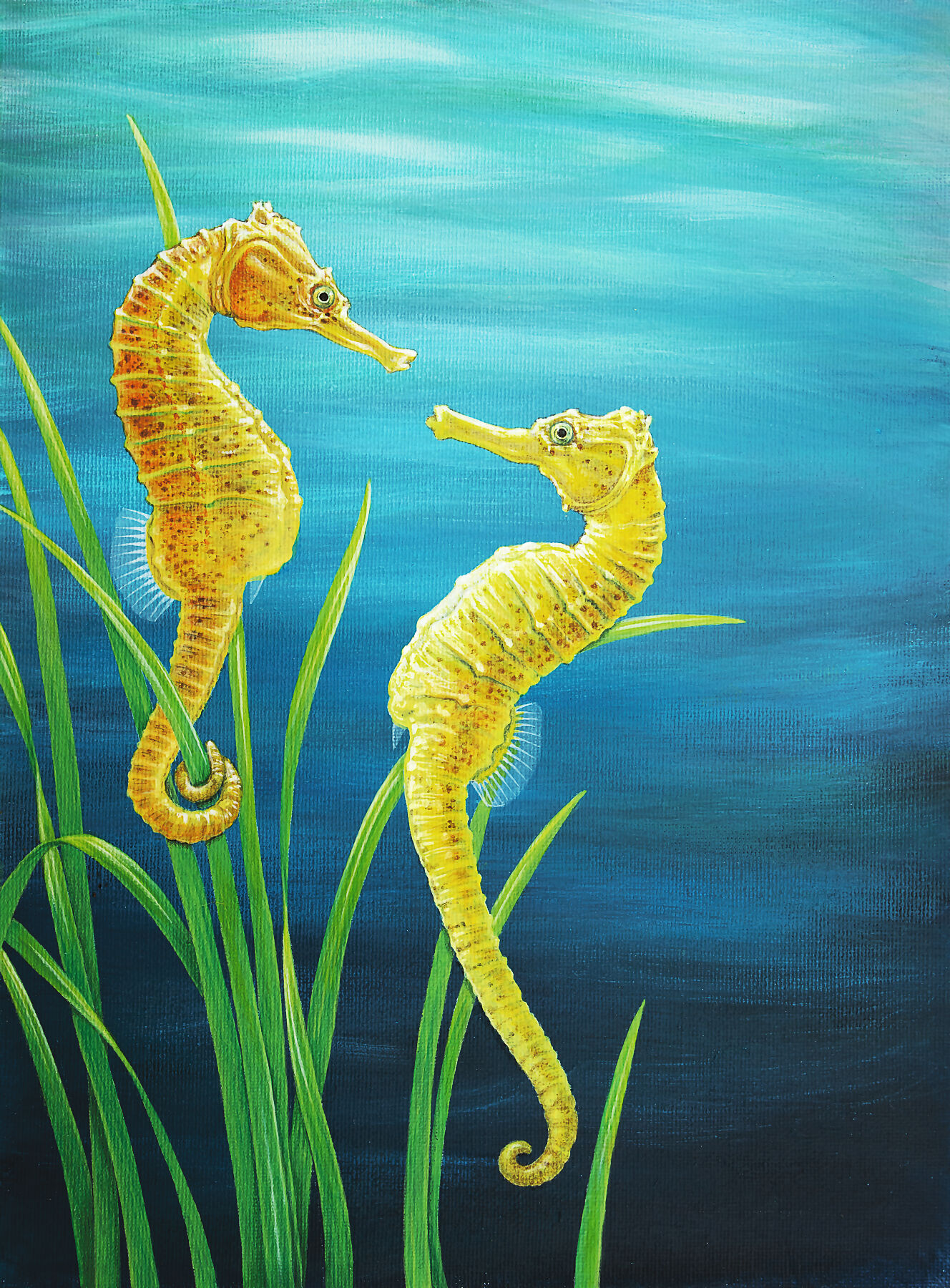 Seahorses print
