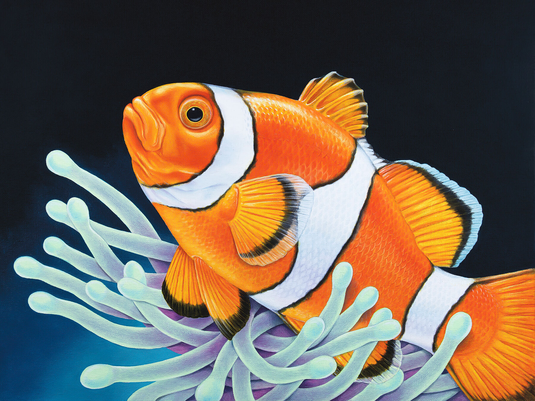 Clownfish painting