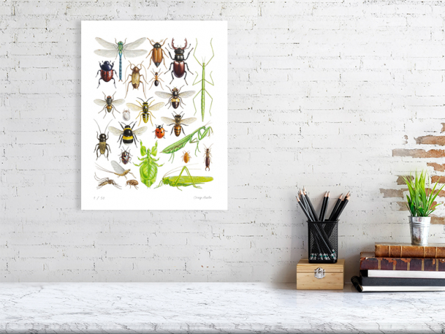 Limited edition print of insects