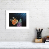 Butterfly print in a white frame