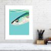 Mackerel poster print in a white frame