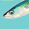 Poster of a mackerel