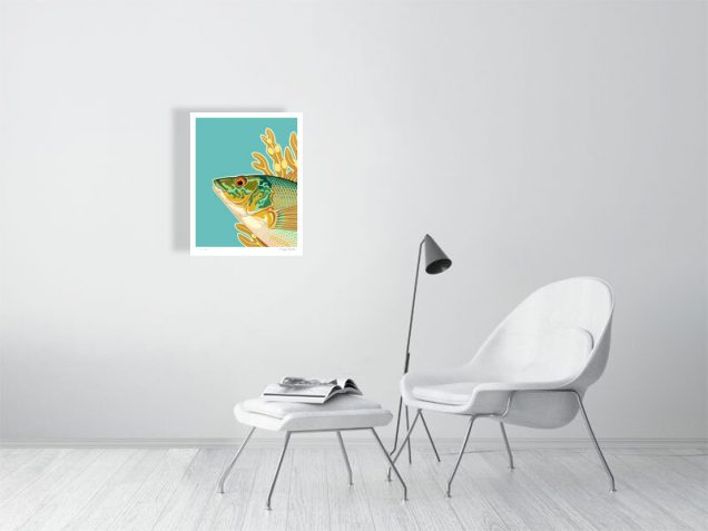 Limited edition print of a wrasse
