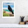 Signed limited edition print of a chough