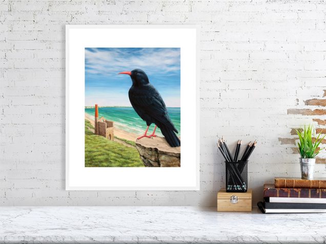Chough print in white frame