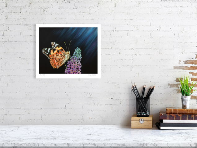 Limited edition print of a painted lady butterfly