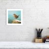 Signed limited edition print of a wren