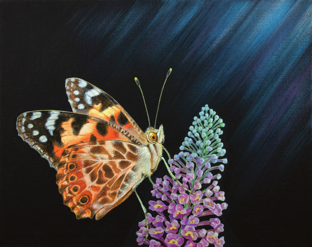Original painting of a painted lady butterfly