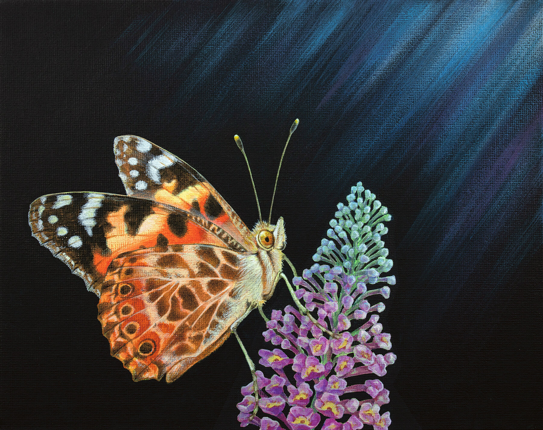 Original painting of a painted lady butterfly