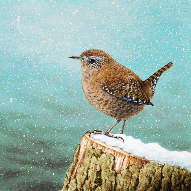 Wren painting
