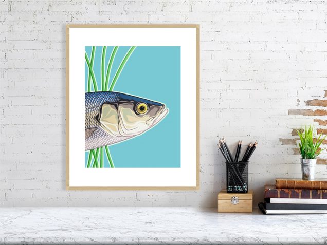 Sea bass print in oak frame