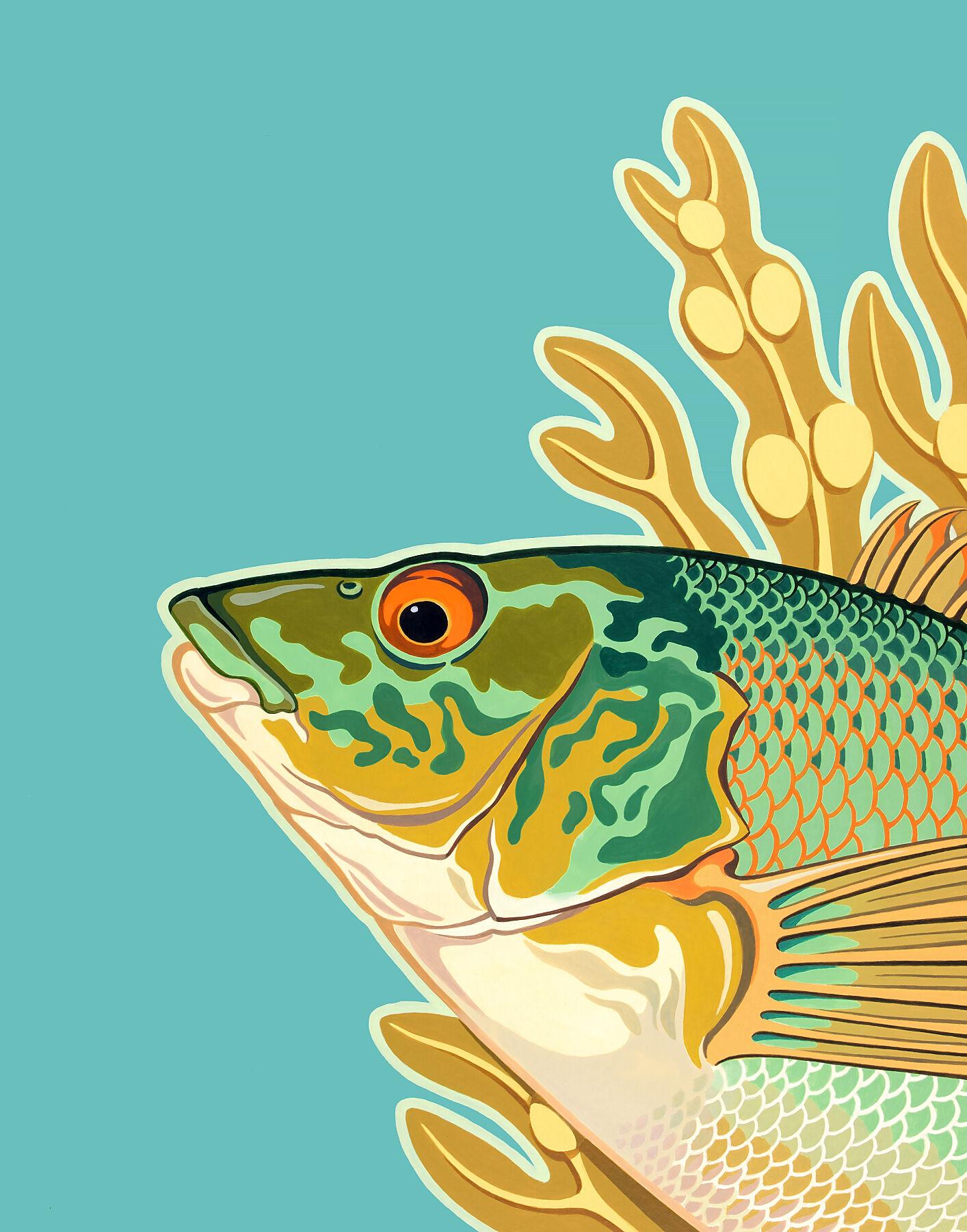 Acrylic painting of a wrasse