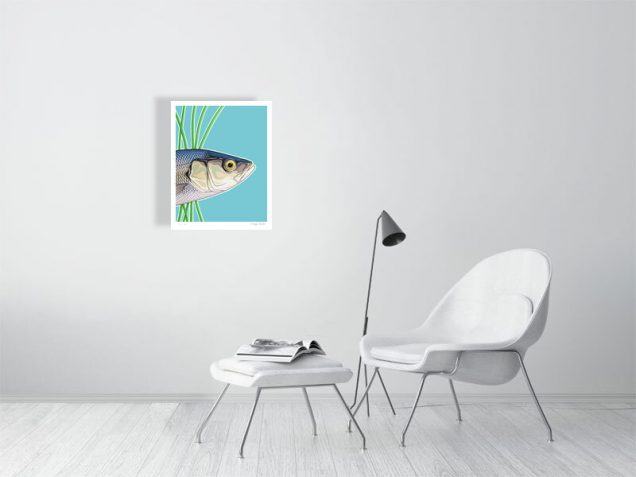 Signed limited edition of a sea bass fish poster
