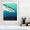 Mackerel print in an oak frame
