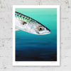Signed print of a mackerel