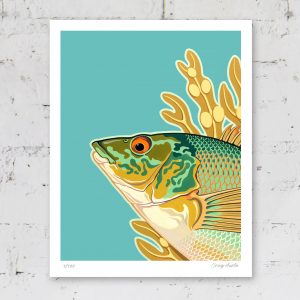 Wrasse poster print