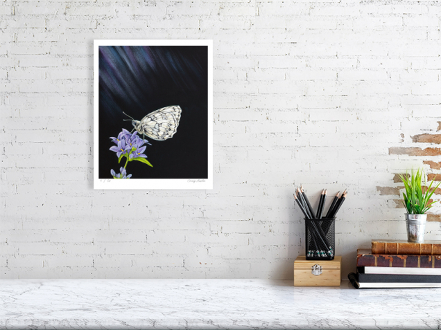 Signed print of a marbled white butterfly