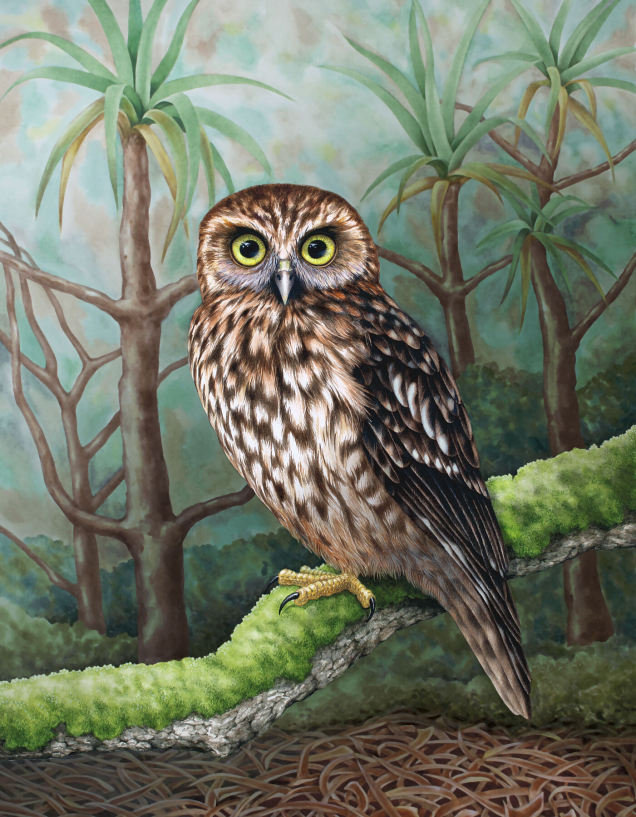 Original painting of a morepork owl
