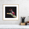 Stag beetle print in an oak frame