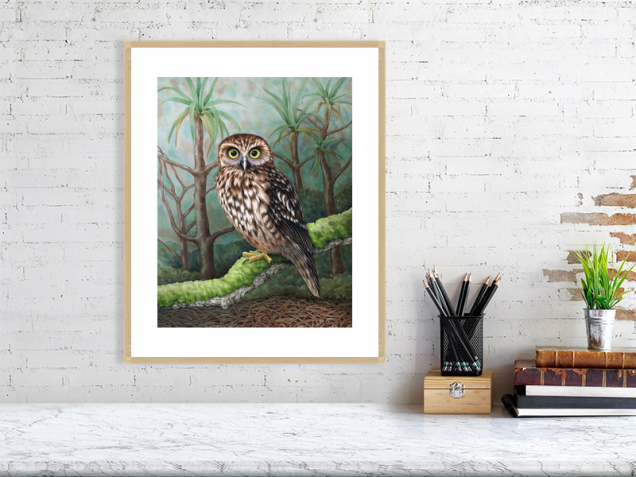 Morepork print in an oak frame