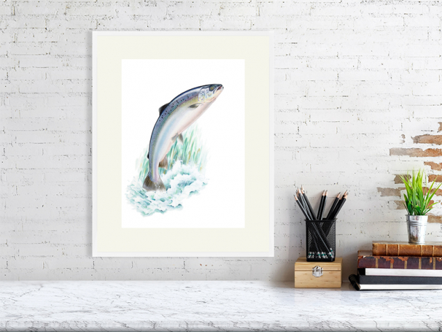 Salmon print in a white frame