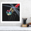 Dragonfly print on a white frame