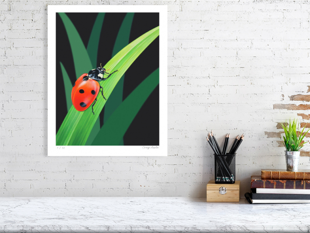 Signed print of a ladybird