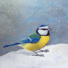 Original painting of a blue tit in the snow