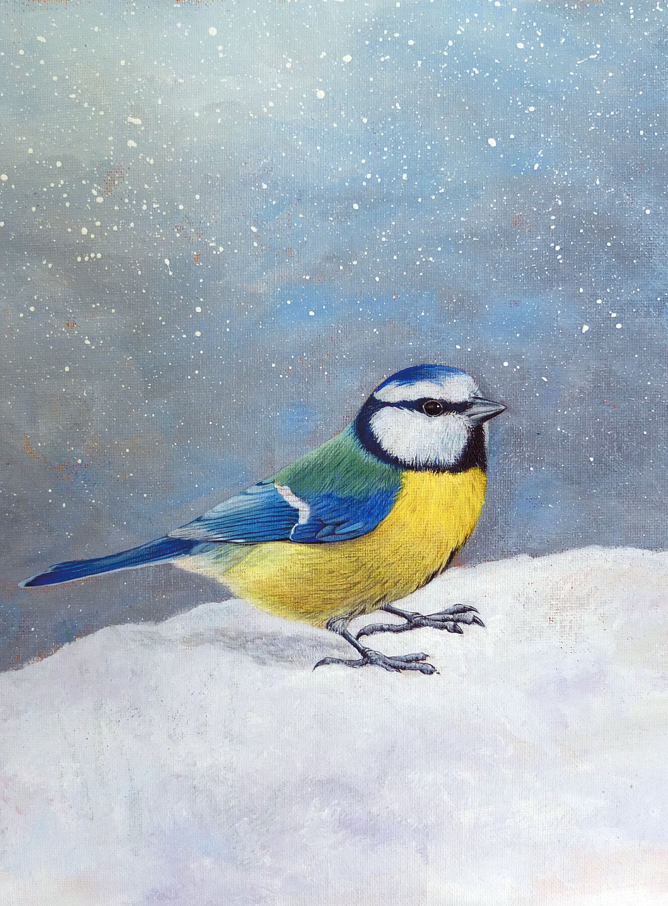 Original painting of a blue tit in the snow