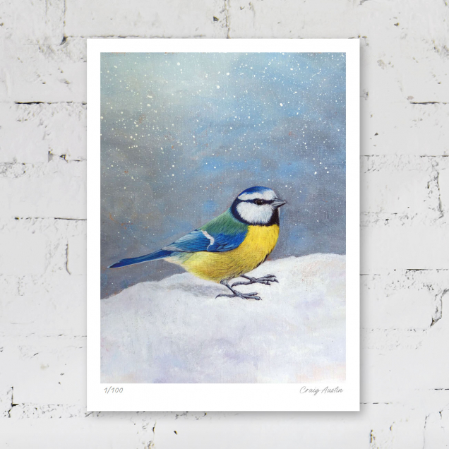 Limited edition print of a blue tit in the snow