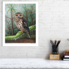 Limited edition print of a morepork