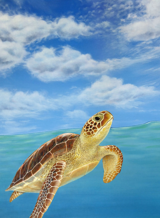 Original painting of a green sea turtle