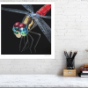 Signed edition print of a dragonfly