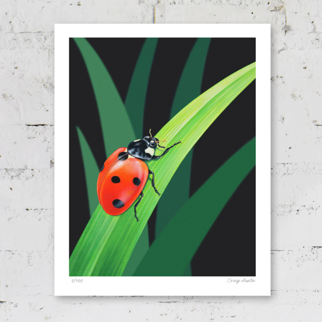Limited edition print of a ladybird