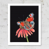 Signed print of a peacock butterfly