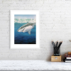 Shark print in a white frame