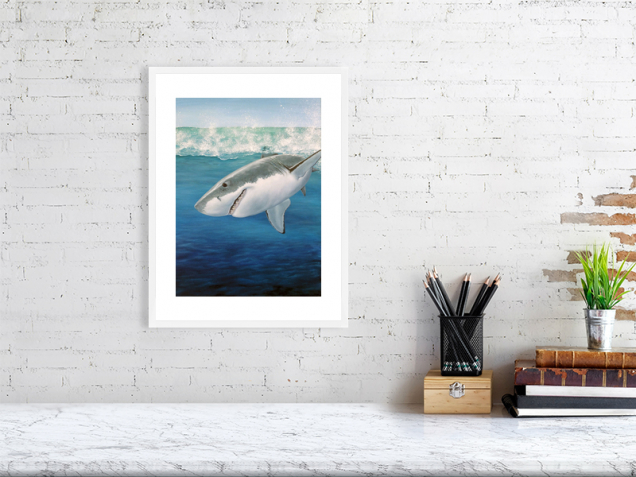Shark print in a white frame